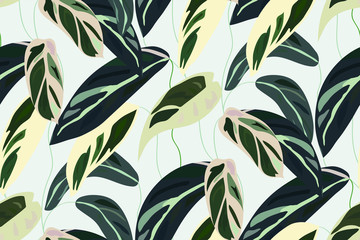 Floral seamless pattern, green, black and white split-leaf   Leaves of Cordelia with vines on white background, pastel vintage theme. Vector