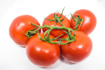 Red tomatoes on a branch. Vegetables isolated
