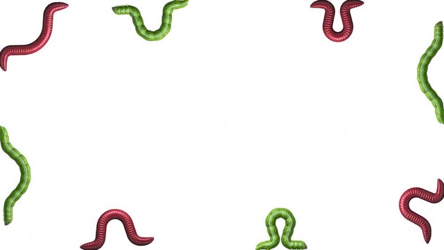A lot of green caterpillars and red worms crawling around the edge of the screen. Seamless loop 3D animation on white background with alpha matte.