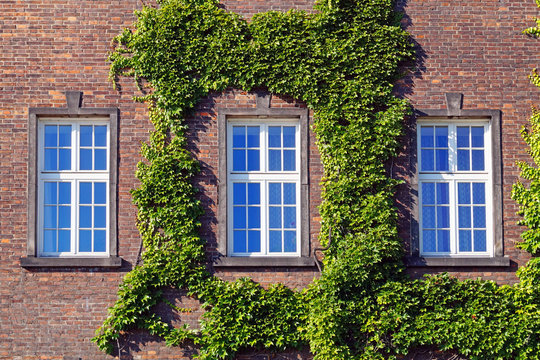 Fototapeta Three window on a red brick wall.