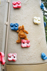 Ours en peluche sur mur d'escalade 