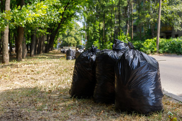 black bags of garbage are under the trees. Garden cleaning concept