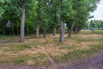 reservoir in the city park recreation park 