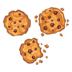 Beautiful realisitc cookie with chocolate vector, isolated