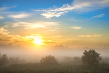 summer landscape with sunrise and fog
