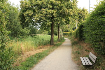 Obraz premium Wanderweg im Münsterland