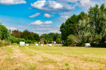 wrapped round hay bales