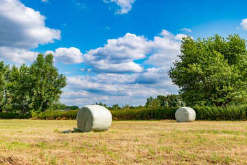 wrapped round hay bales