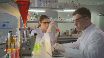Professional adult woman and handsome man carrying out experiments and analyzing their findings. Female looking on the glass bulb. doctor typing on computer
