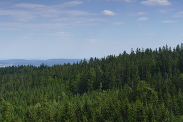 czech spruce forests mountain view © Miroslav