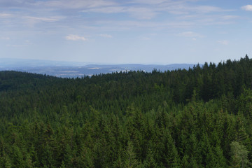 czech spruce forests mountain view