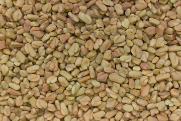 Closeup of fenugreek seeds
