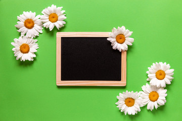 Chamomile and slate desk, place for your text on green paper background