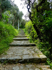 stairs in the park