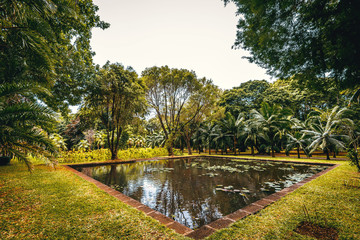 Botanical garden on Mauritius island