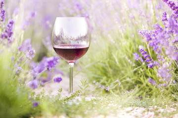 Red wine glass on the ground against lavender landscape. Sunset over a summer lavender field in...