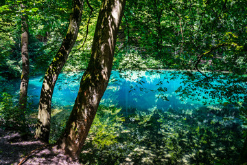 Germany, Spectacular azure waters of natural spring blautopf (blue pot) in blaubeuren town in swabian jura nature landscape inside green forest