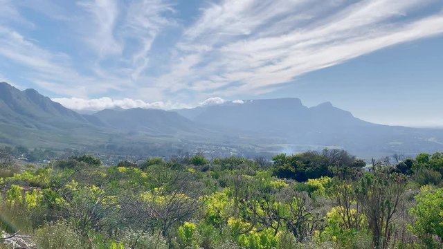 Fynbos landscape in Western Cape South Africa