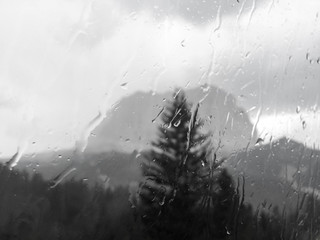 Looking out into a rainy forest, through a window