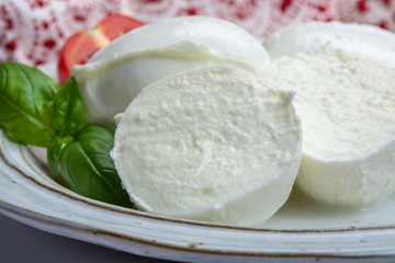 Italian soft cheese mozzarella, white cheese made from cow or buffalo milk with fresh green basil herb and red tomato