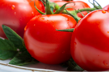Bunch of fresh ripe red tomatoes with leaves on board and  white background