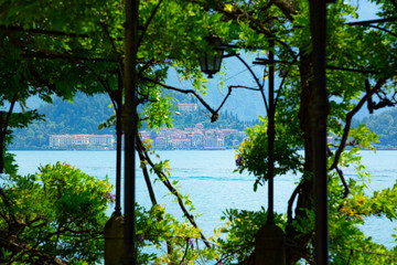 Garden pergola covered by green Ivy plant in front of Como Lake in Italy