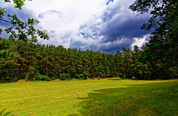 beautiful sky with clouds over the field near the forest
