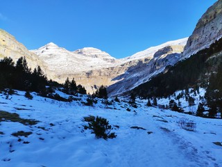 Monte Nieve Árbol Roca Cordillera escalada