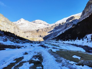 Monte Nieve Árbol Roca Cordillera escalada