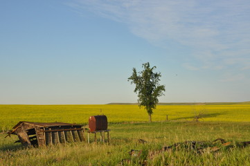 Homestead History