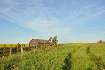 Tracks in the Field Close