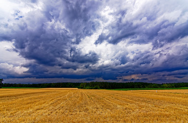 beautiful sky with clouds over the field near the forest