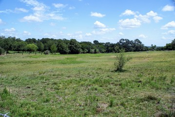 County Pasture and Hills