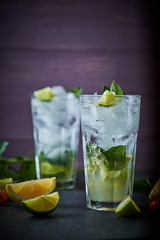 Mojito refreshing summer cocktail. Ingredients: ice, soda, rum, sugar syrup, lime, mint.
