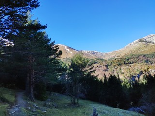 Monte Nieve &Aacute;rbol Roca Cordillera escalada