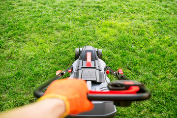 The interesting point of view from a man pushing a lawn mower. Lawn mower mowing green grass