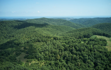 Fototapeta na wymiar Aerial view forest