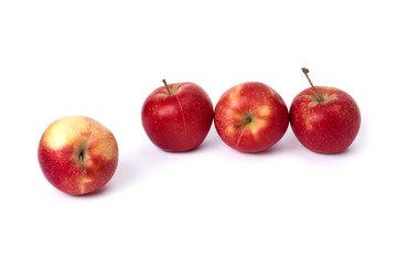 Four red apples on a white background. Juicy apples of red color with yellow specks on a white background. A group of ripe apples on an isolated background.