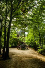 Wieżyca wieża widokowa kaszubski park krajobrazowy kaszuby widok las jezioro © Dariusz