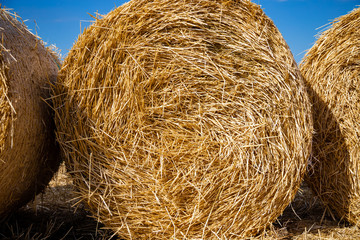 A stack of hay summer gold