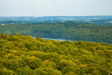 Rezerwat Przyrody Wieżyca kaszubski park krajobrazowy kaszuby widok las ostrzycki jezioro ostrzyckie  dolina pagórki © Dariusz