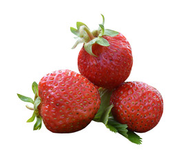 ripe sweet red strawberry on green leaves for delicious food on isolated white background