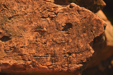 The photo shows the texture of an old brick closeup.