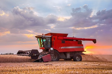 Combine harvester harvests in the field at sunset. Improved bright light, selective focus.