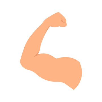 Strong hand with biceps muscle symbol. Bodybuilder and weightlifter arm sign. Human body anatomy icon.Sport and fitness concept.Perfect for bodybuilding and fitness clubs. Isolated vector illustration