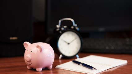 Piggy Bank, Concept of saving	