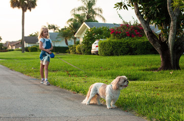 Cute Little girl walks dog  in the street at Beautiful Sunset. Walking with pet.  Happy kid play fun outdoor with puppy. Enjoy in summer day. 