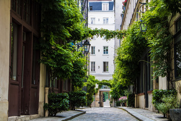 Parisian street with green vines on the walls of residential buildings in Illes district of Paris,...