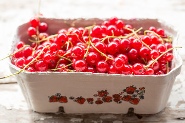 Box of red currants sunlight