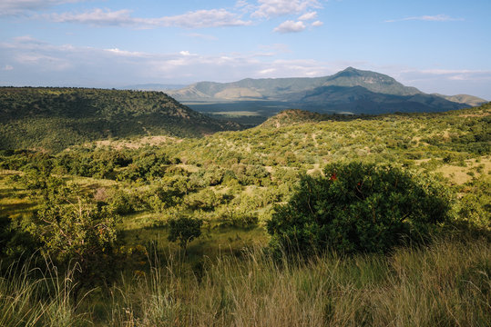 African landscape. Mago National Park. Omo Valley. Ethiopia. Africa